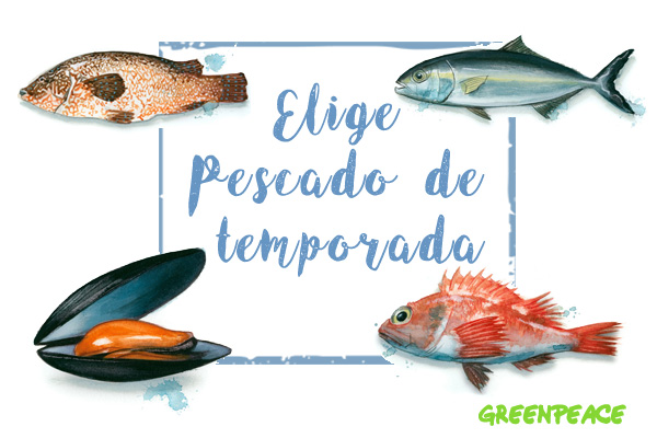APP para identificar el pescado de temporada