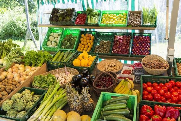 La Región de Murcia es la tercera más amenazada por el actual declive de las abejas