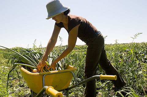 Agricultura Ecológica