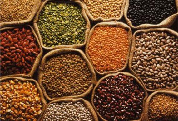 Contra la norma de la UE que impide a los agricultores vender sus propias semillas