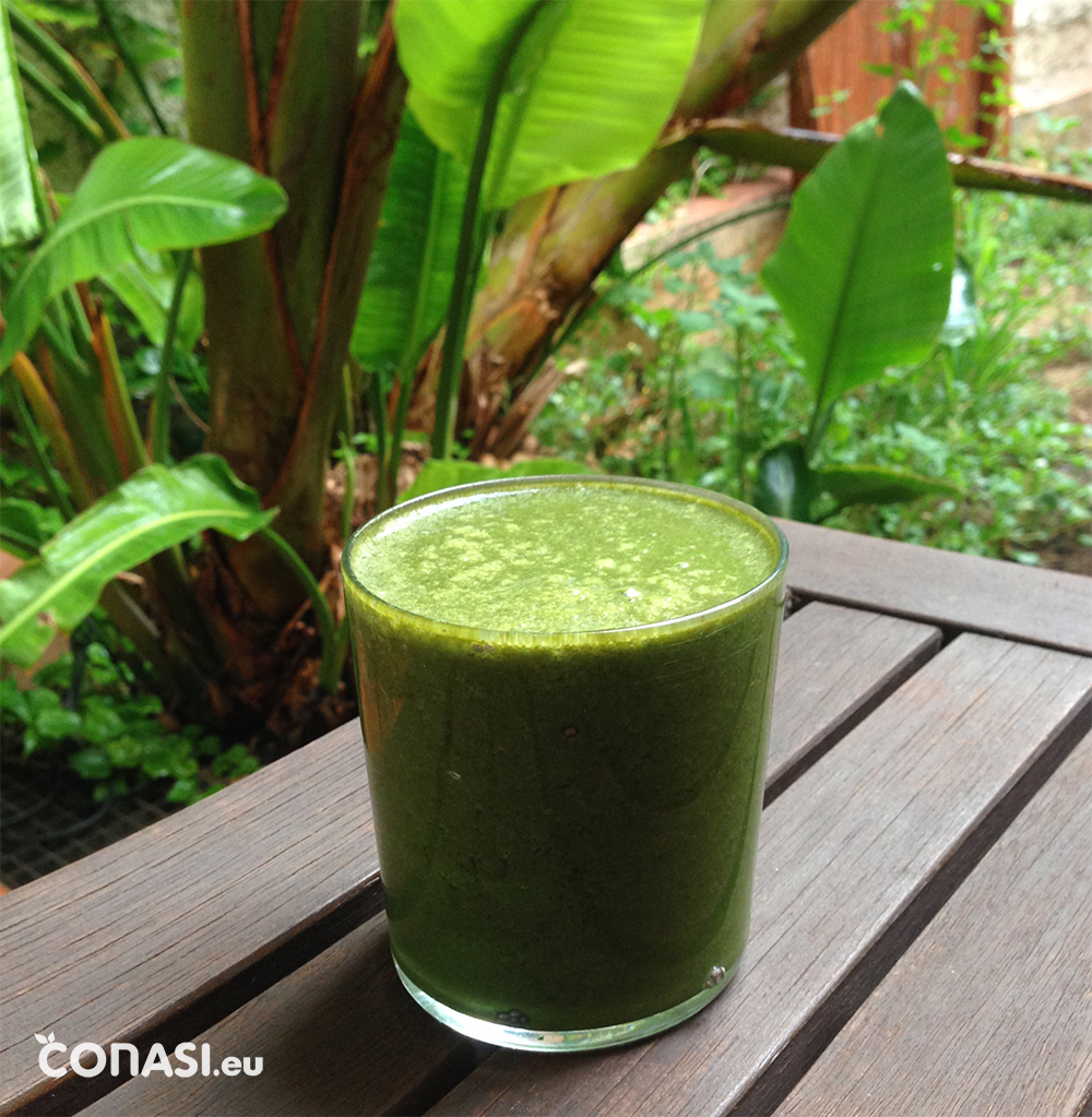 ‘Recetas Caseras y Ecológicas’: Batido verde veraniego