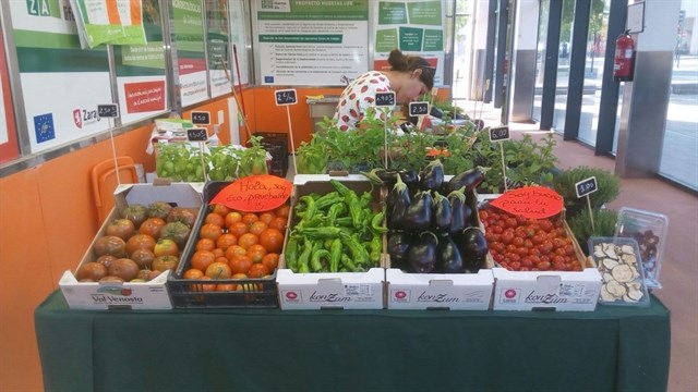 Santisteve presenta a Zaragoza como "capital de la agroecología" en la cumbre por una alimentación sostenible