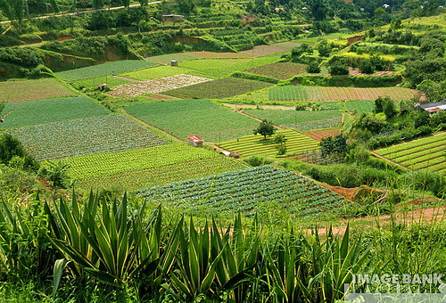 La Diputación de Castellón ha decidido dar un paso más en el desarrollo de la agricultura ecológica provincial