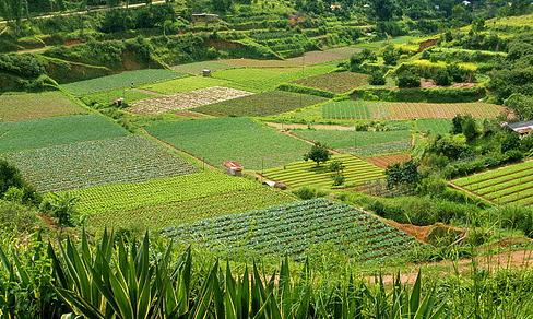 Valencia le da la bienvenida a BioCultura