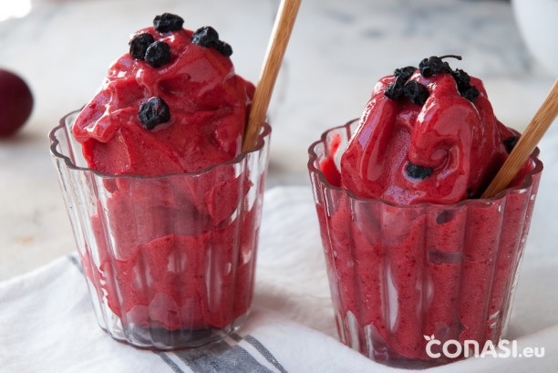 ‘Recetas Caseras y Ecológicas’: Sorbete helado de ciruelas rojas