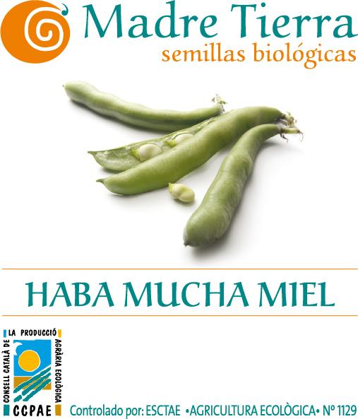 Semillas ecológicas haba mucha miel madre tierra