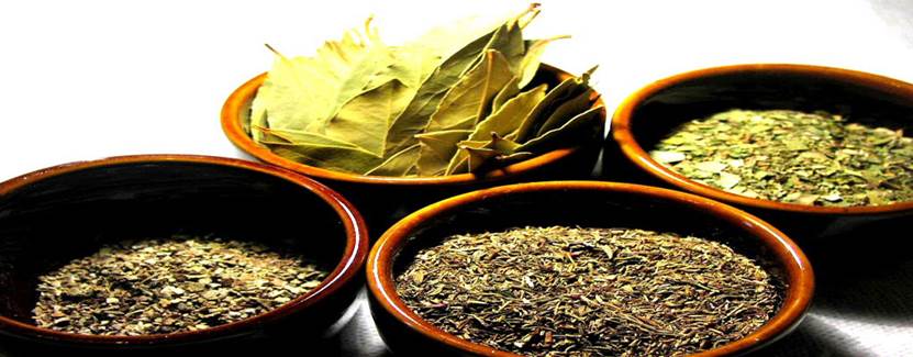 Herbología y herbodietética