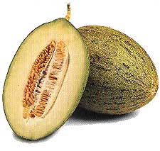 COAG y Fecoam instalan este martes un mercado solidario en el que se repartirán 10.000 kilos de melones