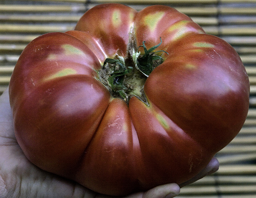 El día 23 se organizará una jornada sobre agricultura ecológica en Cáceres