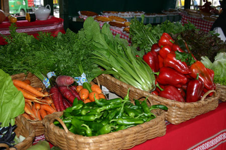 La agricultura ecológica como una actividad de ocio