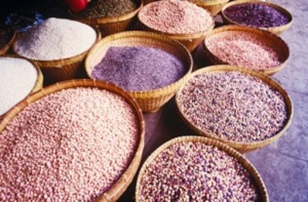 Los alimentos hechos con cereales integrales