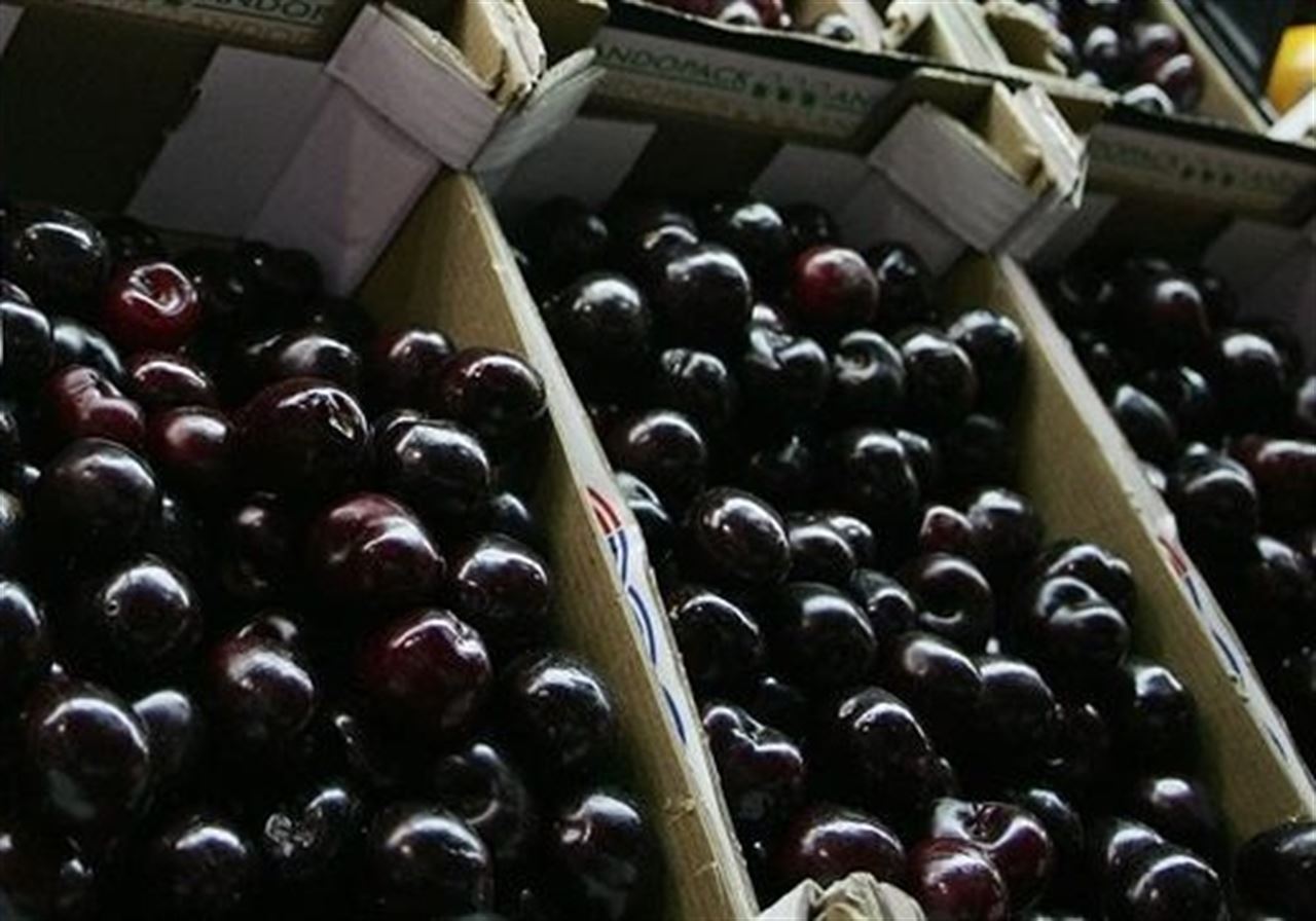 La Mesa Sectorial de la Cereza en España rechaza el dimetoato como insecticida