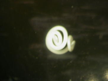 Destacan la alta prevalencia de Anisakis en los peces de aguas del norte de Marruecos