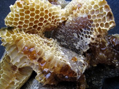 Un tipo de miel podría hacer frente a bacterias resistentes