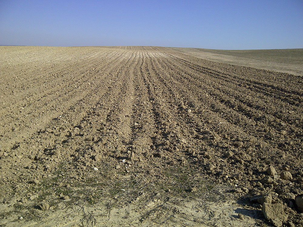 Cuando la agricultura esteriliza la tierra