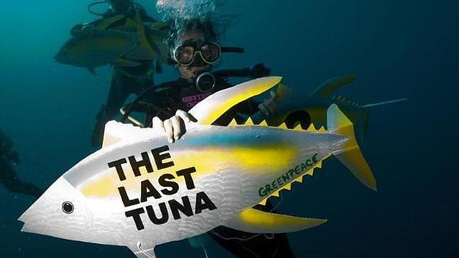 Greenpeace evalúa al sector de las conservas de atún y pide mayor sostenibilidad y transparencia