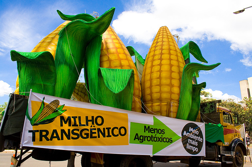 Irlanda se declarará zona libre de transgénicos