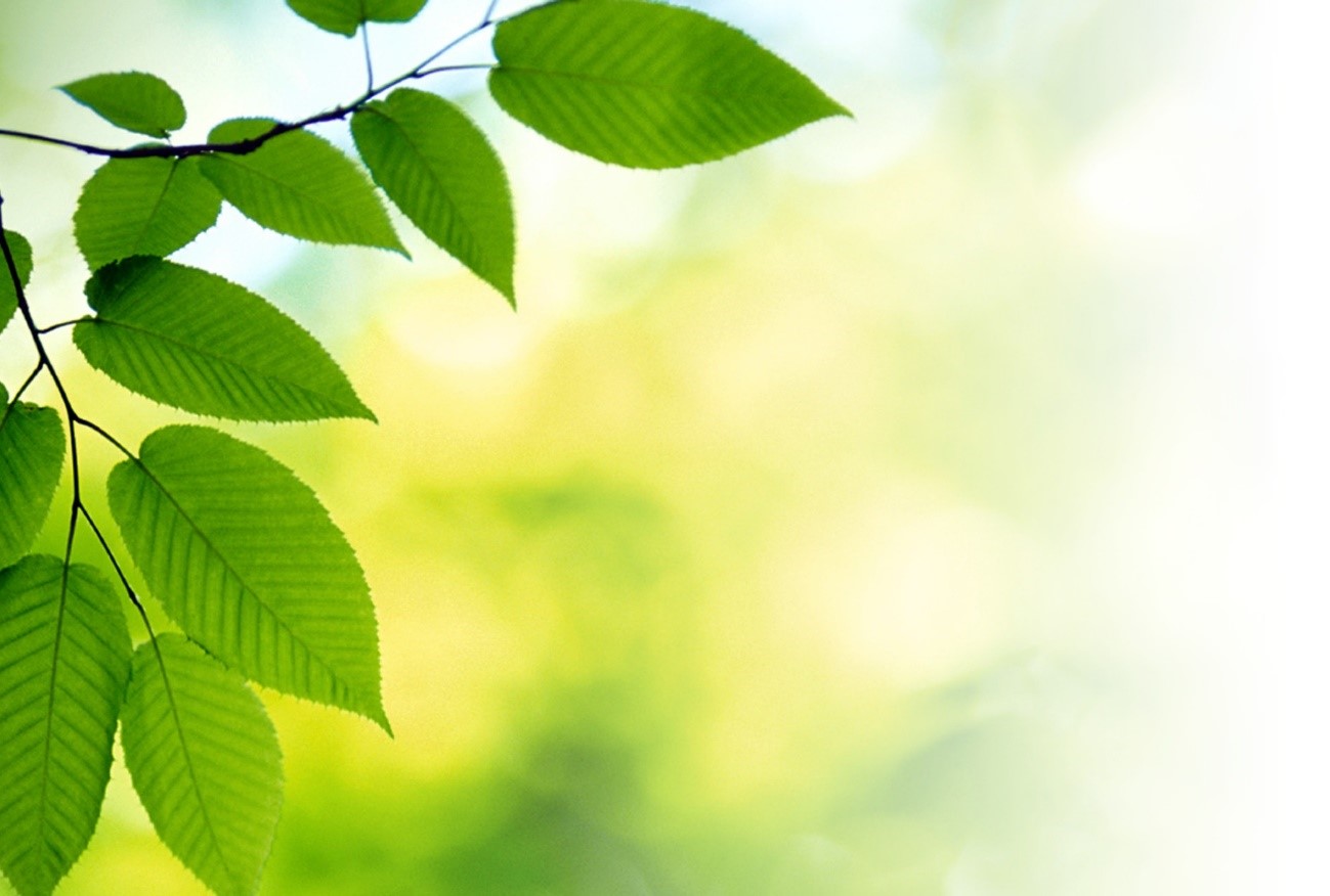 Las innovaciones verdes se multiplican