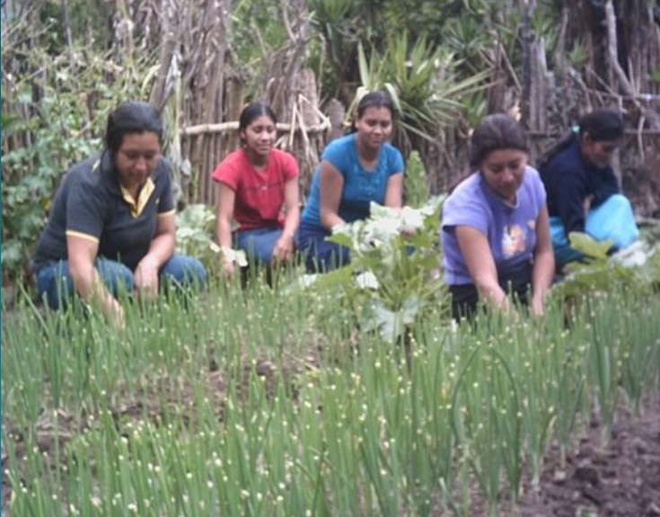 Mujer rural: inversión en seguridad alimentaria