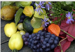 Están de moda los alimentos con polifenoles