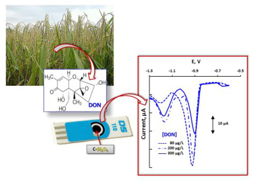 Nuevo método para detectar micotoxinas en cereales