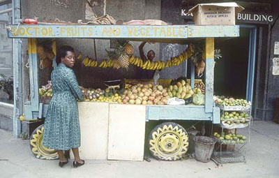 Revalorizar el pasado para hacer frente a los desafíos del futuro