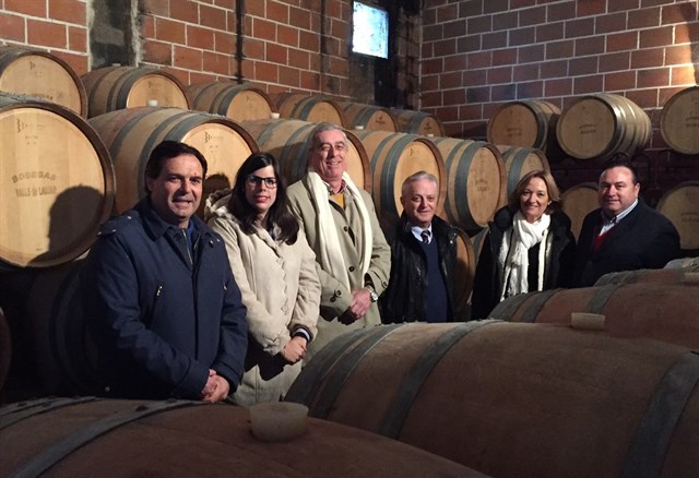 Granada y Almería encabezan la superficie de viñedo ecológico andaluz