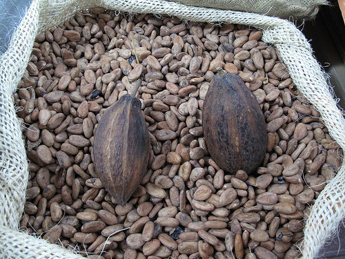 Bruselas pide a España que aplique la norma europea sobre comercialización de semillas