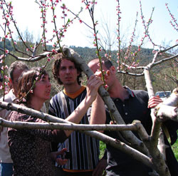 Expertos de toda Cataluña en el curso de fructicultura ecológica de la ERA