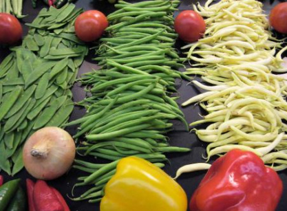 Inaugurado en Palencia Selokecomo