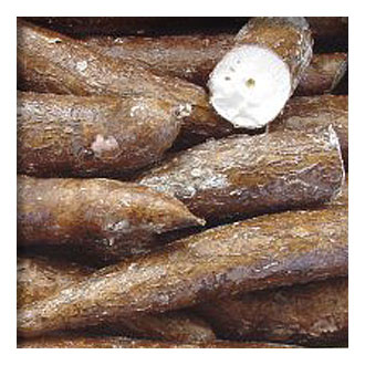 Un proyecto tecnológico europeo para evitar pérdidas en cultivos y reducir la pobreza