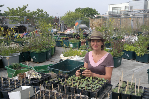 “Food from the Sky”: de la azotea al supermercado