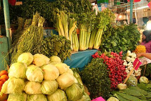 Creada una mesa redonda sobre agricultura ecológica y cambio climático