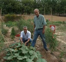 Fomento de la agricultura ecológica en Molina de Segura (Murcia)