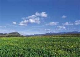 La UPNA inicia esta semana unas jornadas sobre la agricultura ecológica en Navarra