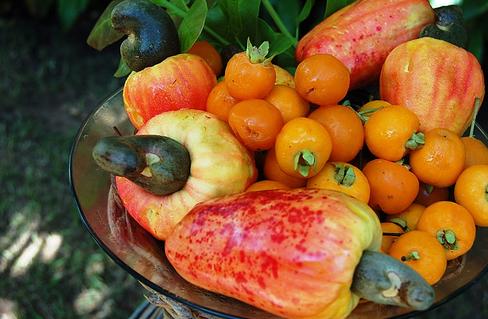 Se creará una lonja virtual para fijar la cotización de los alimentos ecológicos en Cataluña