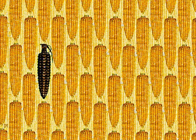 El ‘diablo’ se viste de ‘maíz anticonceptivo’