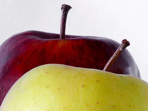 La agricultura ecológica almeriense ya cuenta con una guía