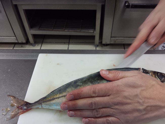 Medio Ambiente organiza la “Semana de los Productos Pesqueros”