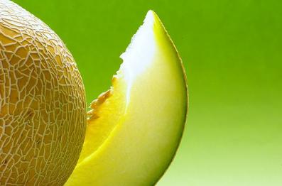 El MARM inicia un curso sobre el cultivo del melón
