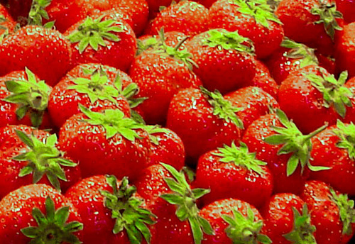 15 empresas murcianas participan en Alemania en Biofach 2010