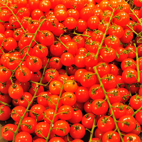 Huertos ecológicos escolares como oportunidad de educación alimentaria