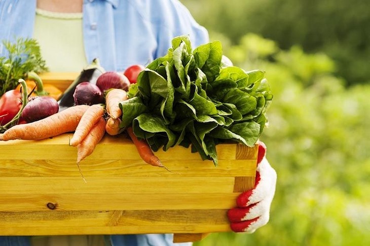 IVA superreducido para los alimentos ecológicos