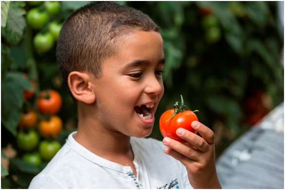 Conoce cómo se elaboran los productos de BioSabor
