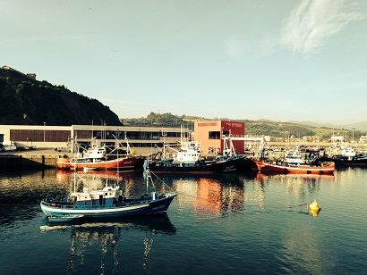 La primera pesquería de anchoa del Cantábrico entra en proceso de evaluación de MSC