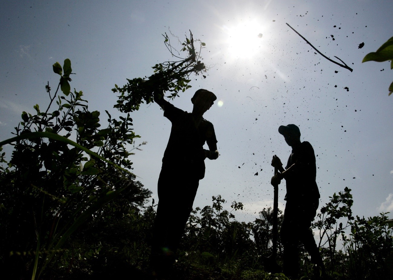 Porqué es necesaria una alimentación sostenible