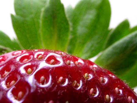 Se incrementa en un 17% el número de hectáreas de producción agraria ecológica