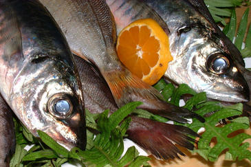 La EU consigue la producción más sostenible de los alimentos