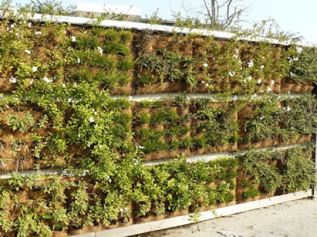 Jardines verticales para enfriar edificios en climas mediterráneos