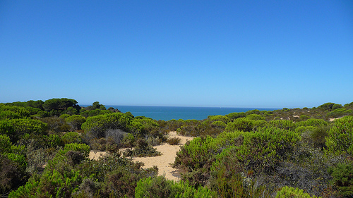 El sudoeste de la Península supera durante la primavera y el verano los niveles de ozono recomendados